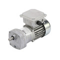 Bison Gear & Engineering AC Gearmotor, 122RPM, 230/460V 017-175-0013