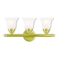 Livex Lighting Neptune 3 Light Polished Brass Bath Vani 1063-02