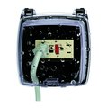 Intermatic Plastic In-Use Weatherproof Cover, Double, 2 Gang, Polycarbonate, Duplex Receptacle WP1020C