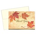 Great Papers Note Card and Envelopes, Thank You, PK50 2017002