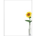 Great Papers Stationery Letterhead, Sunflower D, PK80 2020148