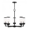 Livex Lighting Textured Black Outdoor Chandelier, 5 Ligh 20725-14