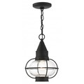 Livex Lighting Black Outdoor Pendant Lantern, 1 Light 26910-04