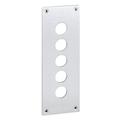 Schneider Electric Drilled front plate with fixing screws, Harmony XAP, XB2 SL, metal, 5 cut outs, 72x204mm, 22mm XAPE305