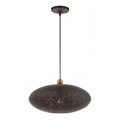 Livex Lighting Bronze with Antique Brass Accents Pendan 49102-07