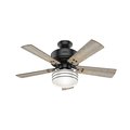 Hunter Indoor/Outdoor Ceiling Fan, 1 Phase, 120 54149