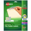 Avery File Folder Labels with Sure Feed, PK750 6466