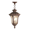 Livex Lighting Oxford 3 Light Imperial Bronze Outdoor Pendant Lantern 7658-58