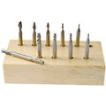 Hhip 10 Piece 2 & 4 Flute Mini High Speed Steel Double End Mill Set 8000-0025