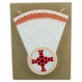 Eisco Scientific Dicot Root Model - Transverse Section with Hand Painted Details BM0024