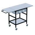 Irsg Mobile Table w/ Drop Lves, 3 Comp Org Bin, Hang Bar & Btm Shlf ERGO-28-K6