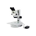 Lw Scientific Trinocular Stereoscope, 7x-45x, Embry Base Z4M-TZM7-EML3