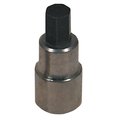 Lisle Brake Caliper Socket Bit, 3/8", 3/8" D 12570