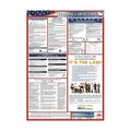 Nmc Federal Labor Law Poster LLPF