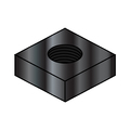 Zoro Select 1/4-20 SQUARE MS NUT BLK OX 14NQB