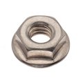 Ampg Flange Nut Serrated, 3/8"-16 Size, SS, 3/8-16, Plain NUT40238C