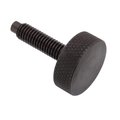 Ampg Thumb Screw, 1/2"-13 Thread Size, Round, Black Oxide Steel, 3 in Lg Z2176