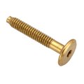 Ampg 1/4"-20 x 40 mm Hex Extra Wide Machine Screw, Brass Plated Steel Z4483-BR