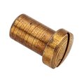 Ampg Cage Nut, 10-32, Brass, Plain Finish Z4518