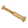 Ampg Arch Barrel/Screw, 1/4"-20, 1-3/8 in Brl Lg, 3/8 in Brl Dia, Brass Unfinished Z5157