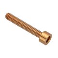 Ampg #2-56 Socket Head Cap Screw, Plain Brass, 1/2 in Length ZS55002C08