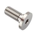 Ampg 1/4"-20 Socket Head Cap Screw, Plain Stainless Steel, 1 in Length ZUL60214C16