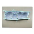 Eisco Scientific Plant Cell Model, 3-D, Sectional View, Mounted on Base, 13"x9" BM0006