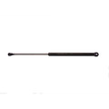 Acdelco Hood Lift Support, 510-313 510-313