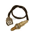 Walker Oxygen Sensor, 250-54061 250-54061