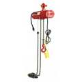 Dayton Electric Chain Hoist, 300 lb, 20 ft, Hook Mounted - No Trolley, 115V, Red 2GTD1