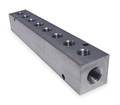 Pneumadyne Manifold, Stainless Steel, NPT, 6-1/4 In. L M10-125-8-SS