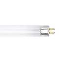 Ge Lamps Fluorescent Linear Lamp, T5, Cool, 4100K F13T5/CW