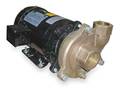Dayton Bronze/Brass 2 HP Centrifugal Pump 208-230/460V 2ZWT5