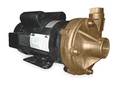 Dayton Bronze 2 HP Centrifugal Pump 115/230V 2ZXA5
