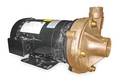 Dayton Bronze 2 HP Centrifugal Pump 208-230/460V 2ZXA6
