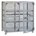 Little Giant Bulk Storage Locker, 61 in W, 39 in D, 52 in H, 2 Shelves, 2 Doors, Steel, Assembled SC2-3660-NC