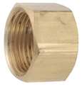 Zoro Select 1/4" Low Lead Brass Cap 700081-04