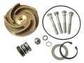 Dayton Pump Repair Kit, For 2ZWY3A 21TG84