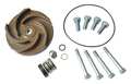 Dayton Pump Repair Kit, For 2ZWP5A, 2ZWP6A 21TG41