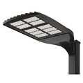 Lithonia Lighting LED Area Light, 282W, Type V, Round Pole DSX2 LED P4 50K T5M MVOLT RPA DDBXD