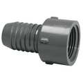 Zoro Select PVC Female Adapter, Insert x FNPT, 2 in Pipe Size 1435-020
