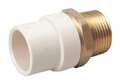 Zoro Select CPVC CPVC to Brass Adapter, 1" Pipe Size, Socket CTS x MNPT Brass 164-305NL