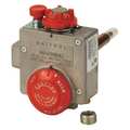 Robertshaw Thermostat/Natural Gas Valve 110-206