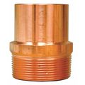 Jones Stephens Adapter, Male, 3/4 FTG x 3/4 MIP, 604-2 C75355