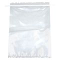 Lab Safety Supply Sample Bag, 100 oz., PK250 24J936