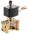 Redhat 24V DC 316 Stainless Steel Solenoid Valve, Normally Closed, 1/2 in Pipe Size EV8316G384V24/DCDD