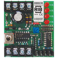 Functional Devices-Rib Track Mount, Analog Override Switch RIBMNA1D0