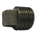 Jones Stephens 1/2" Malleable Iron Black Square Head Plug B3960050