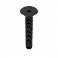 Zoro Select #6-32 Socket Head Cap Screw, Black Oxide Steel, 1 in Length, 100 PK U07410.013.0100