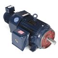 Marathon Motors Vector Motor, 3-Phase, 25HP, 230/460V 284THFPA8038